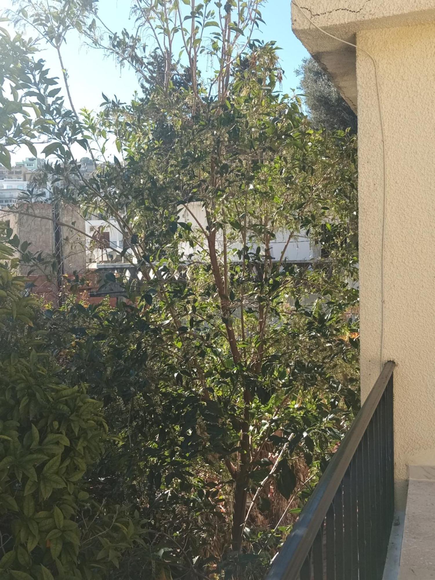 Maison De Vacances طبرقة المظهر الخارجي الصورة